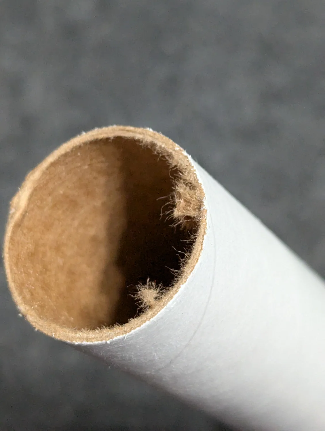 Cut end before sanding — note the loose cardboard fibers.